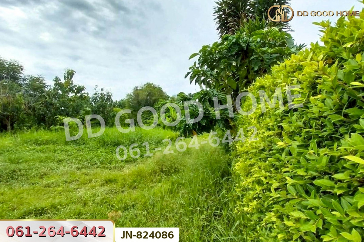 ขายที่ดินบางแค เพชรเกษม : JN-824086 ที่ดินหนองแขม 124 ตร.ว. ซ.เพชรเกษม 79 แยก 9 ใกล้เดอะมอลล์ บางแค