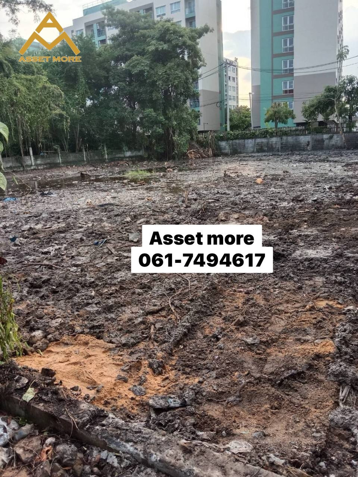 Beautiful square plot of land for sale, land size 317 sq m., good location near BITEC Bangna. And 2.5 km from BTS Bearing, Soi Sukhumvit 107. Loading...