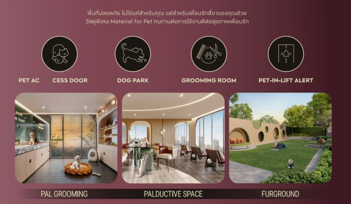 ขายคอนโดสะพานควาย จตุจักร : คนรักสัตว์ต้องซื้อ คอนโดเลี้ยงสัตว์ได้ใจกลางอิทรามาระ Life JJ ราคาเริ่มต้น  3.49MB call อู๋ 0859566196