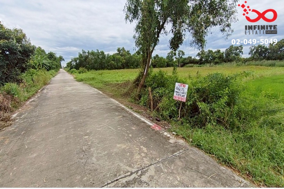ขายที่ดินปทุมธานี รังสิต ธรรมศาสตร์ : ขายที่ดิน 2ไร่ คลองสาม คลองหลวง ซ.คลองสาม 14 ปทุมธานี