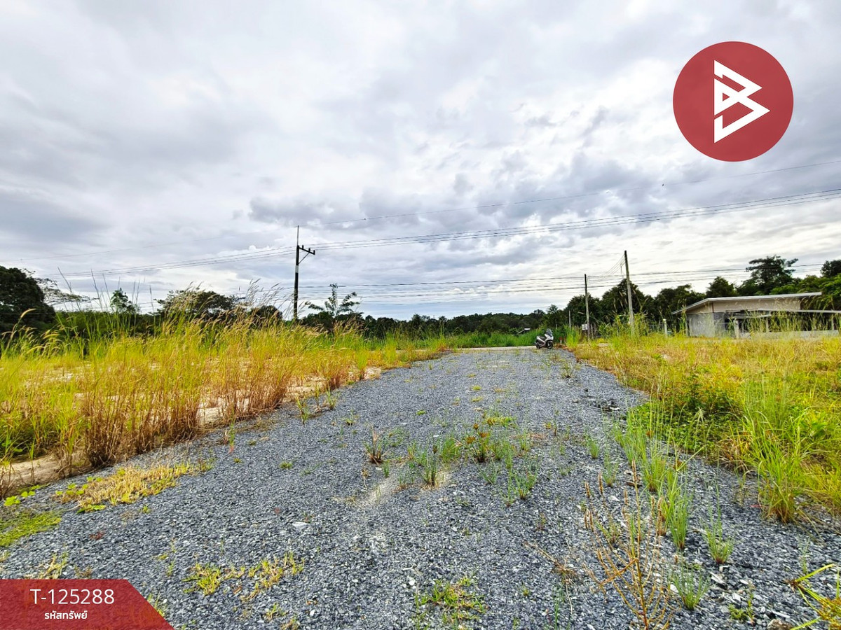 ขายที่ดิน เนื้อที่ 2 งาน แสลง จันทบุรี Loading...