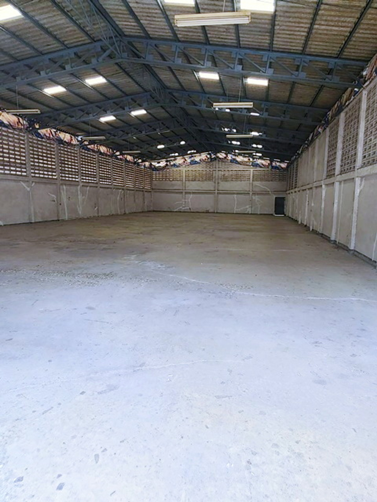 ถ.สุขสวัสดิ์ 64–74 ประชาอุทิศ-บางครุ ให้เช่าโกดังพร้อมสำนักงาน 480ตร.ม. รถเทเลอร์ 18 ล้อเข้าได้ Loading...