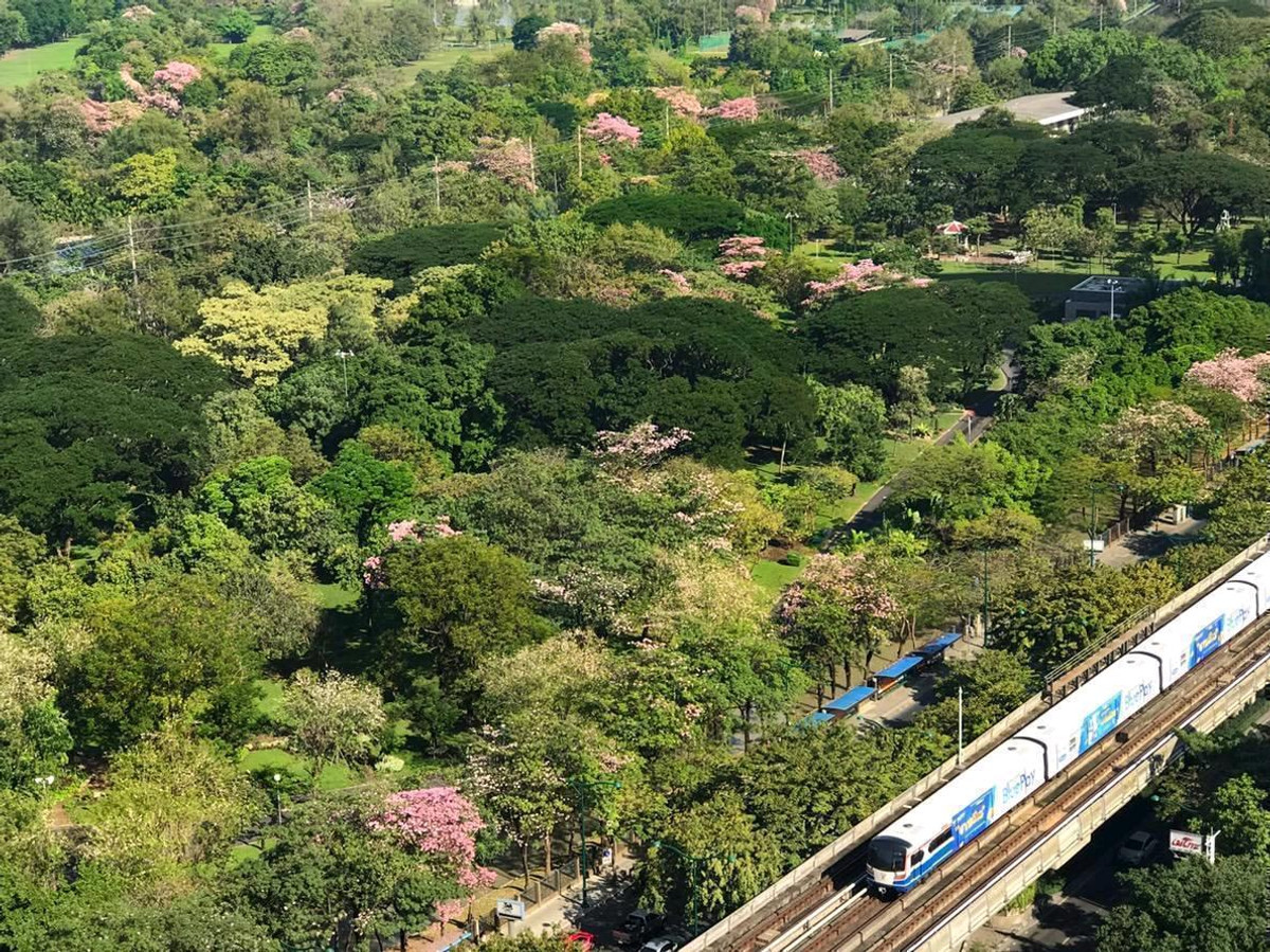 คอนโดสะพานควาย จตุจักร : ขาย /เช่า The line จตุจักร์ หมอชิต