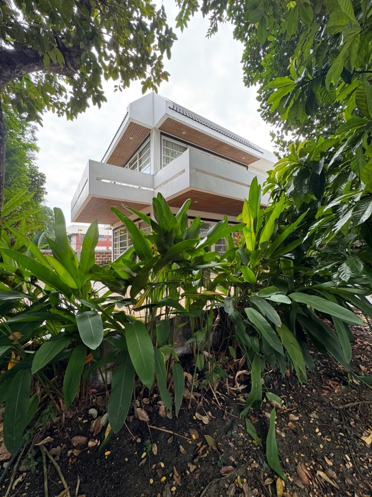 ให้เช่าบ้านอ่อนนุช อุดมสุข : For Rent Detached House Pridi Bhanomyong Sukhumvit 71 District 