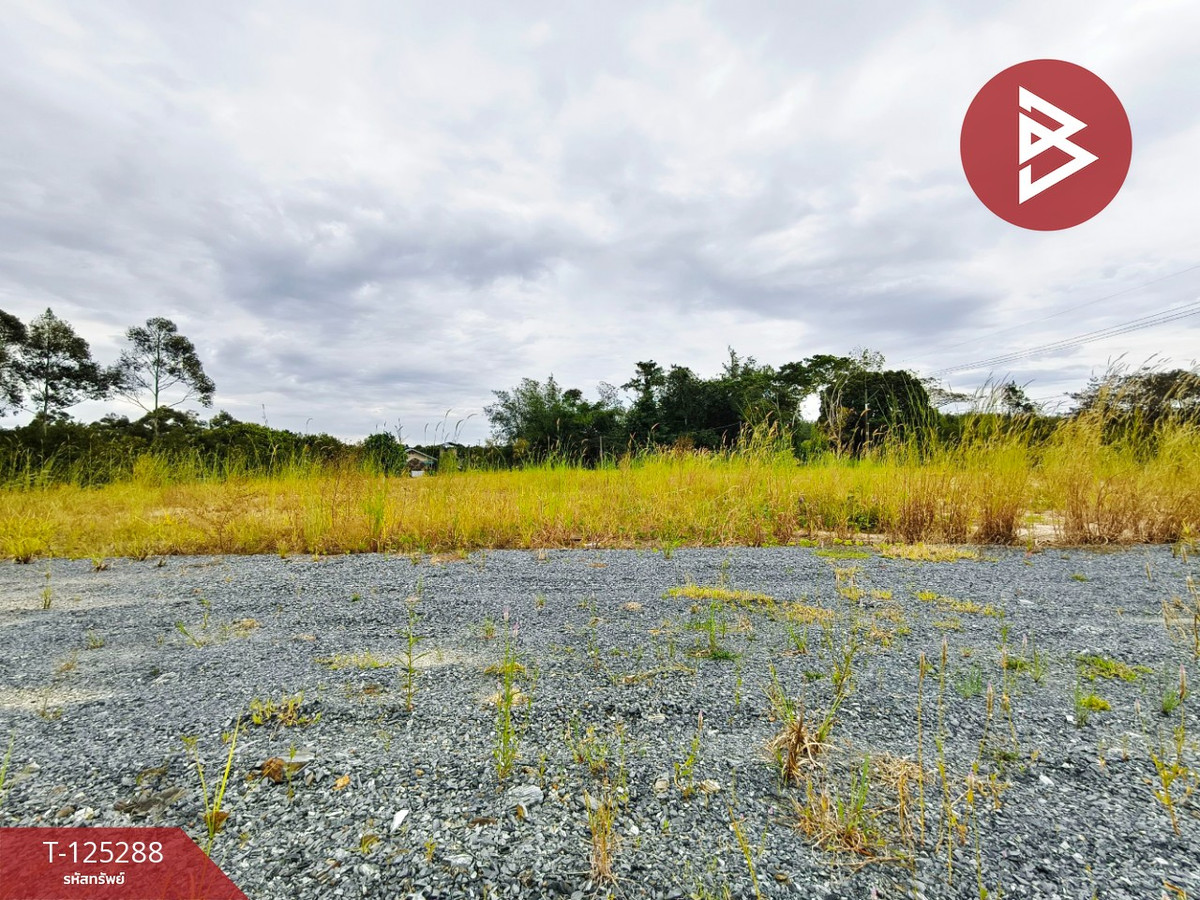 ขายที่ดินจันทบุรี : ขายที่ดิน เนื้อที่ 2 งาน แสลง จันทบุรี