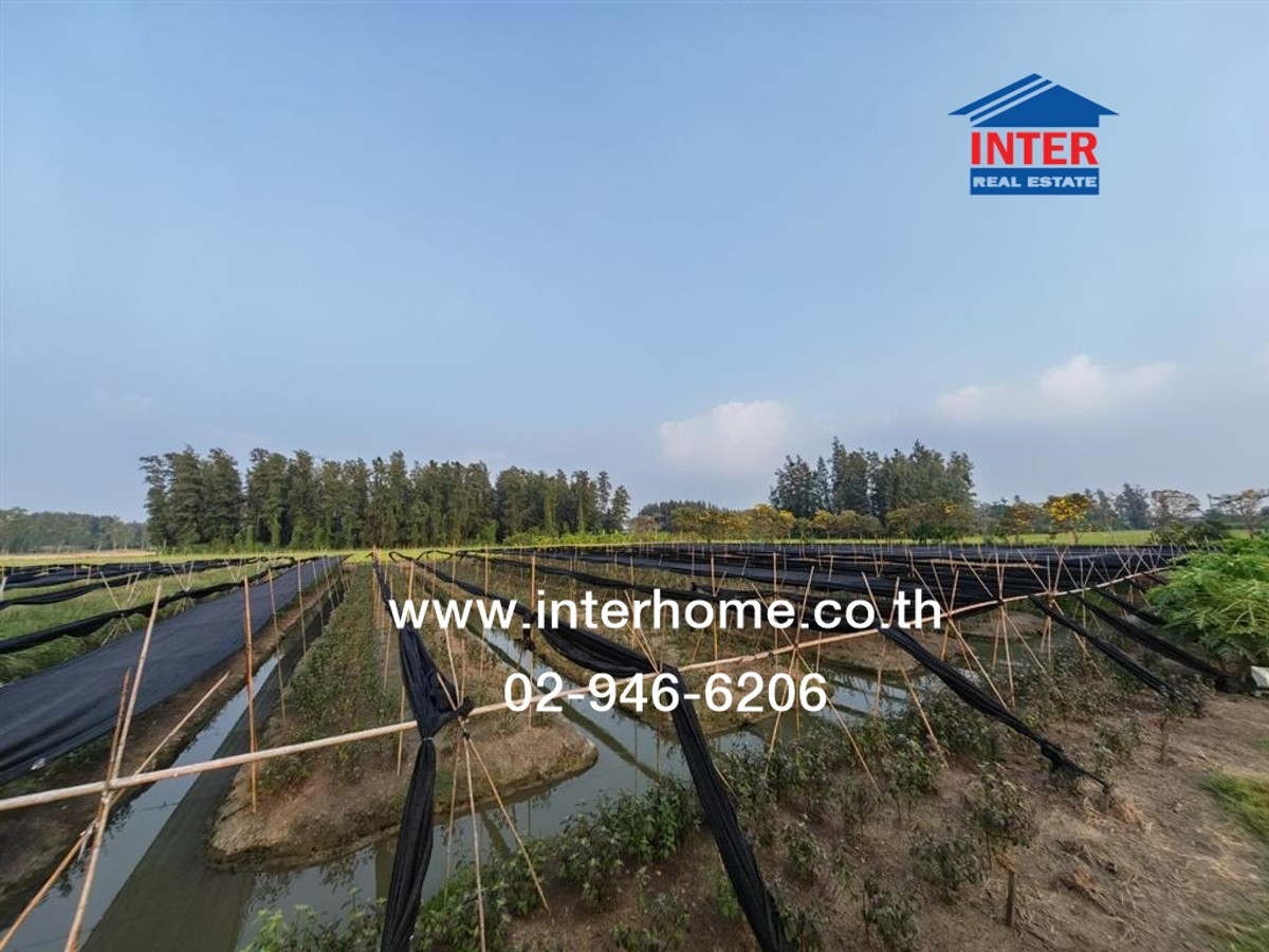 ที่ดินเปล่า 1 ไร่ 238 ตร.ว. ที่ดิน ถนนบรมราชชนนี ใกล้ The First apartment ถนนบรมราชชนนี ถนนทางหลวง3004 พุทธมณฑล นครปฐม Loading...