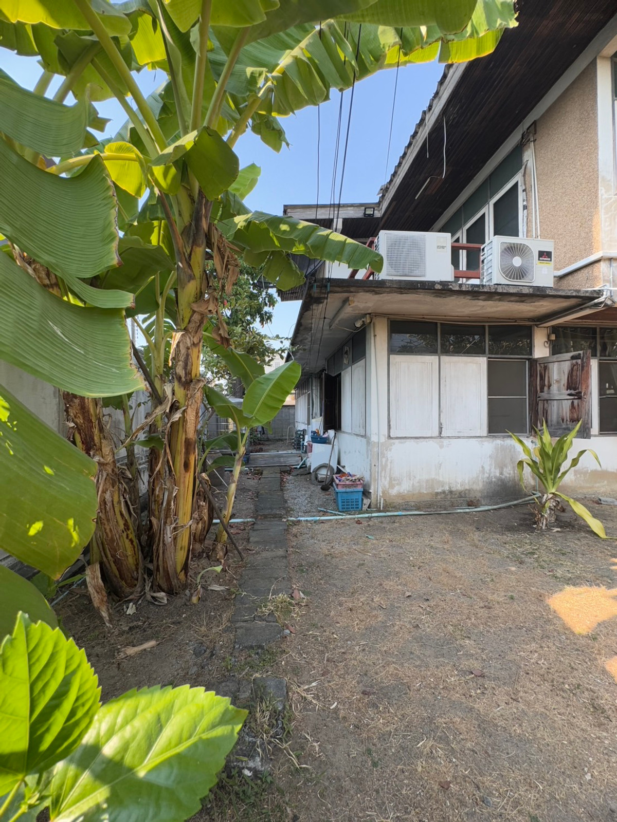 ให้เช่าบ้านอ่อนนุช อุดมสุข : ให้เช่าบ้านเดี่ยว 2 ชั้น พร้อมที่ดิน ซอยสุขุมวิท 97/1 ถนนสุขุมวิท (N.1543)