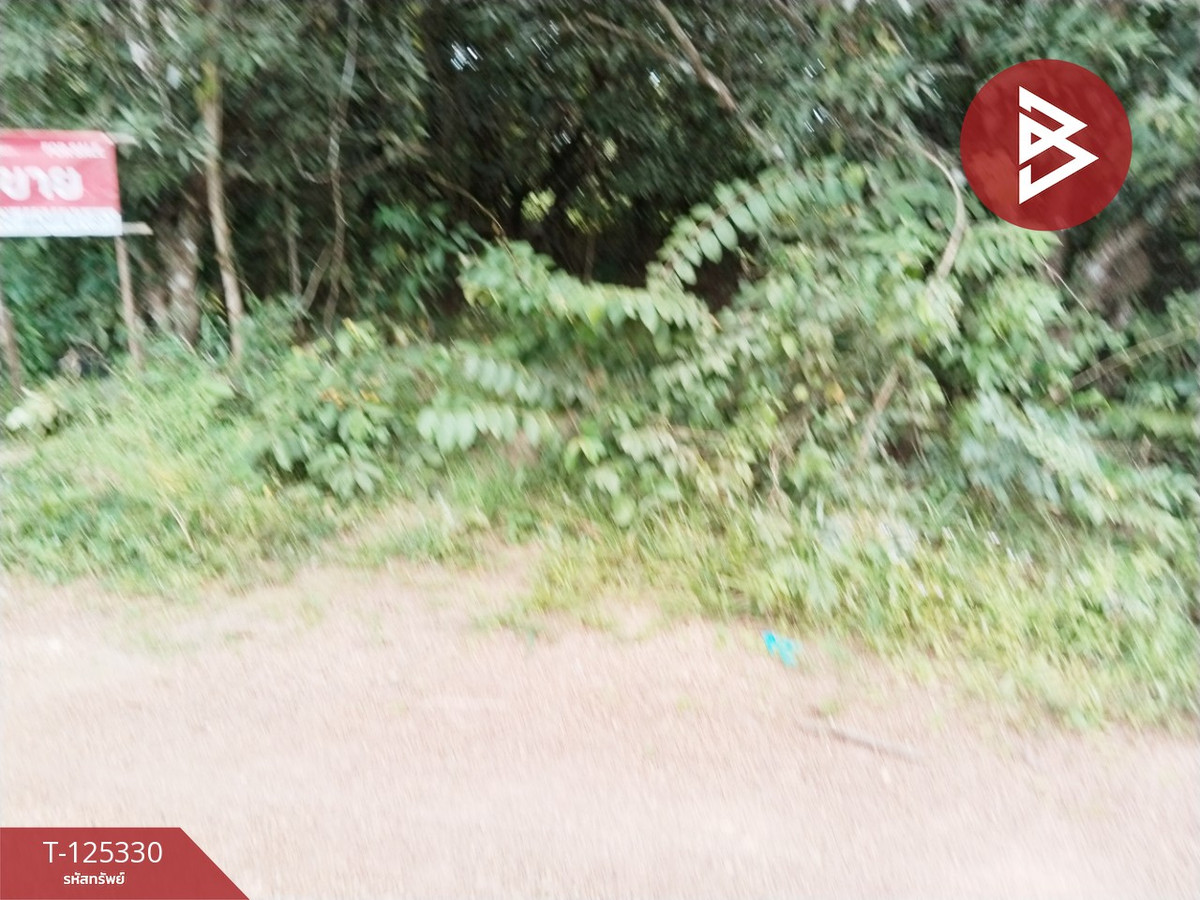 Land for sale, area 2 ngan 60 sq m, Kabin Buri, Prachin Buri Loading...