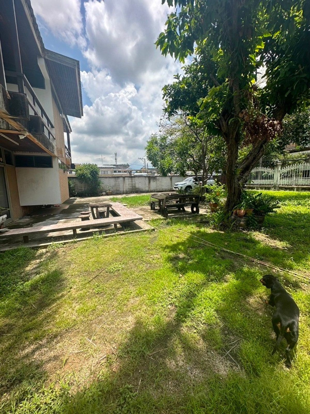 ให้เช่าบ้านอ่อนนุช อุดมสุข : ให้เช่าบ้านเดี่ยว 2 ชั้น พร้อมที่ดิน ซอยสุขุมวิท 97/1 ถนนสุขุมวิท (N.1543)