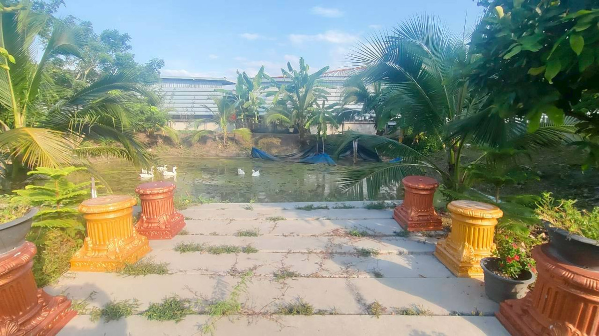 Land for sale 4-0-10 rai with office building. and a 3-story residential house on Bang Bua Thong Road, Suphan Buri Loading...