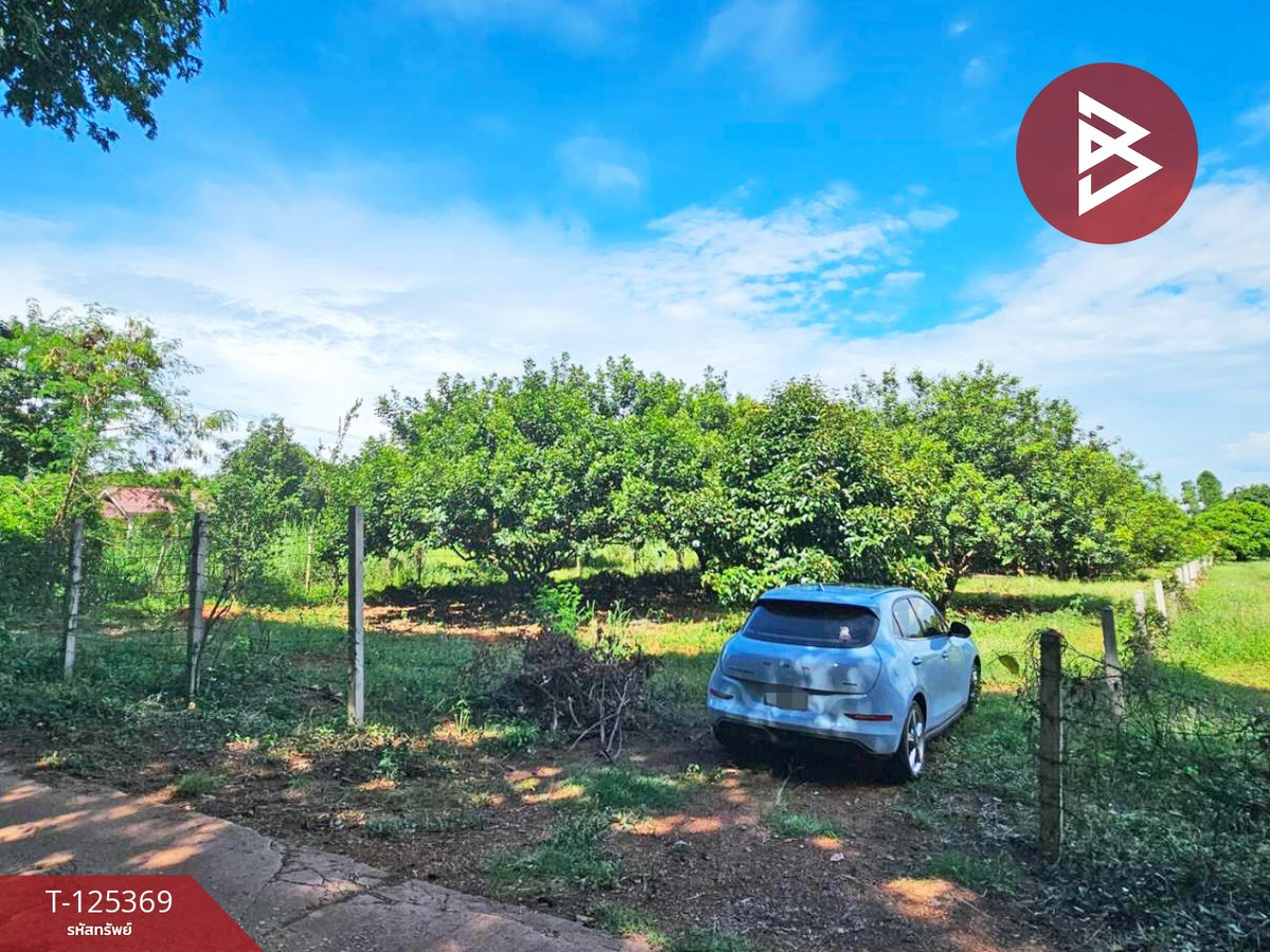 ขายที่ดินปราจีนบุรี : ขายที่ดิน เนื้อที่ 2 ไร่ ศรีมหาโพธิ ปราจีนบุรี