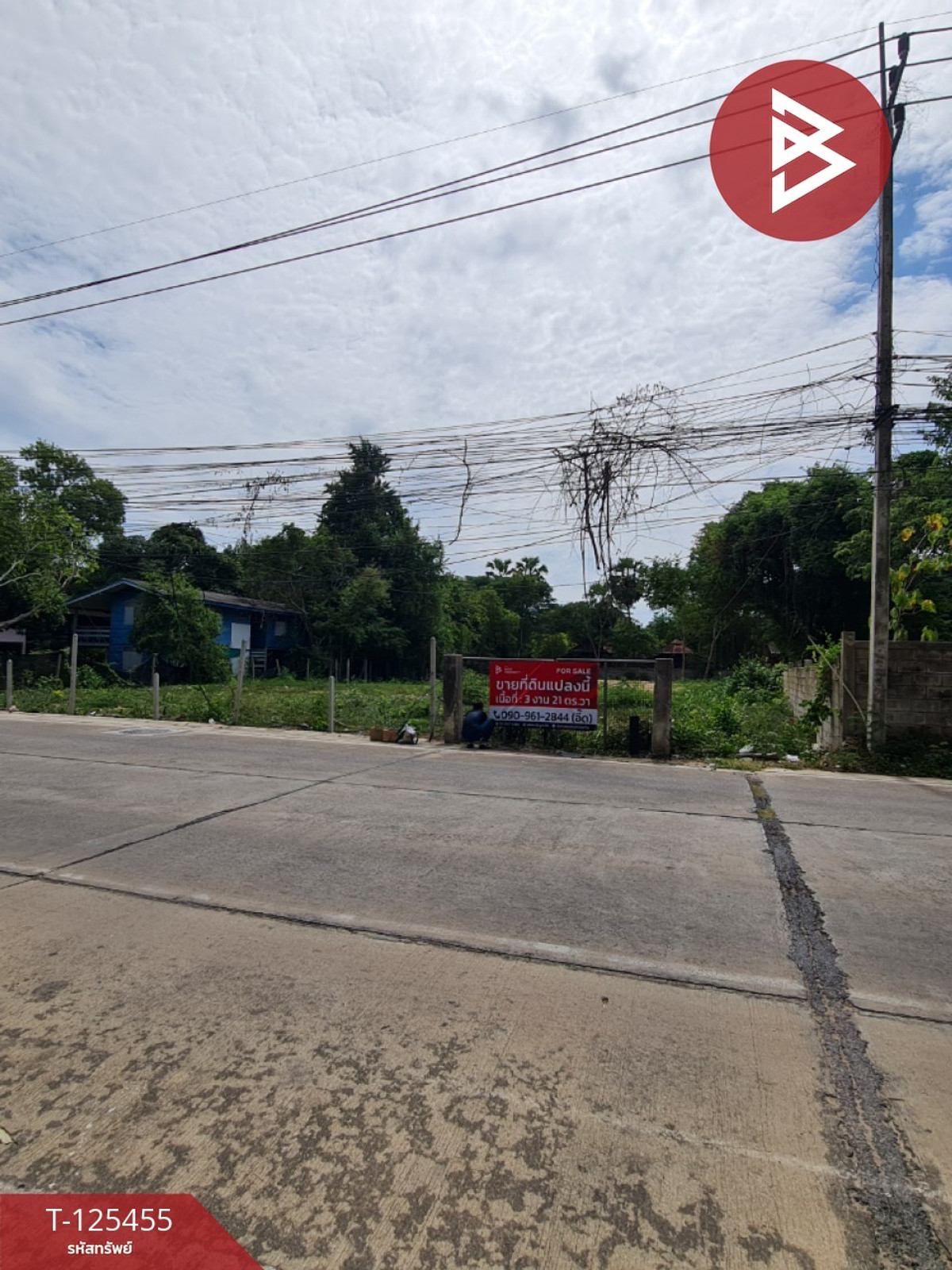 ขายที่ดินชะอำ เพชรบุรี : ขายที่ดิน เนื้อที่ 3 งาน 21 ตร.วา ชะอำ เพชรบุรี