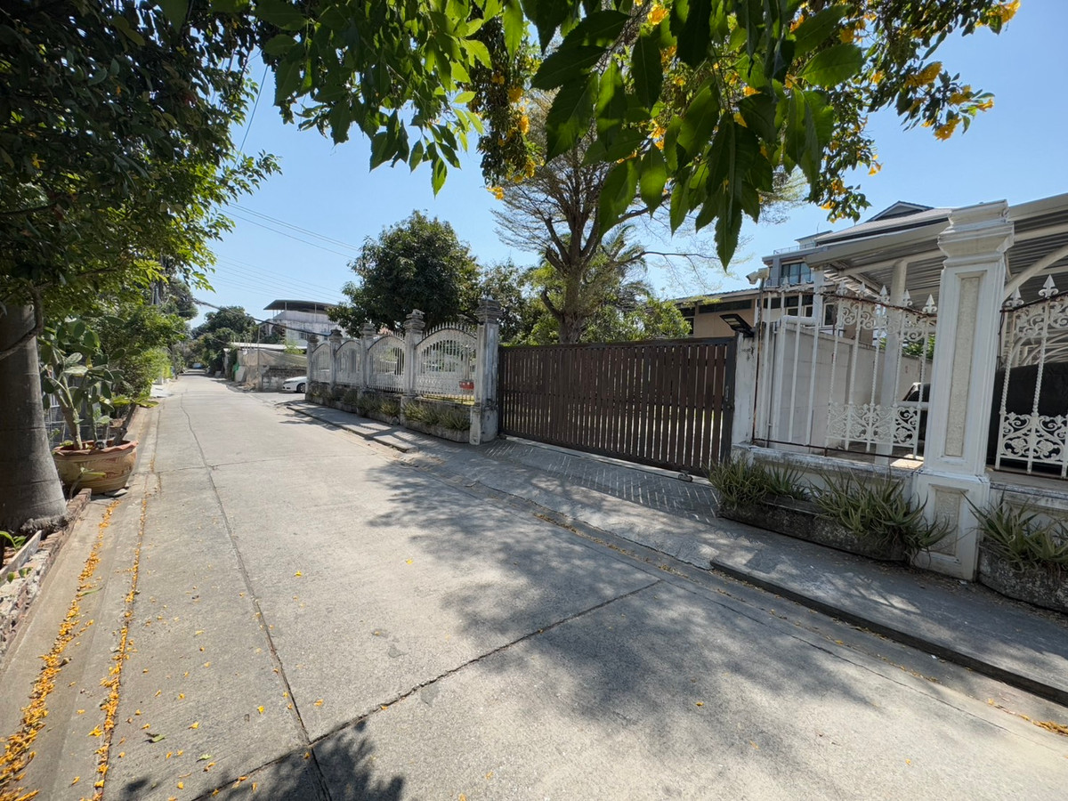 ให้เช่าบ้านอ่อนนุช อุดมสุข : ให้เช่าบ้านเดี่ยว 2 ชั้น พร้อมที่ดิน ซอยสุขุมวิท 97/1 ถนนสุขุมวิท (N.1543)