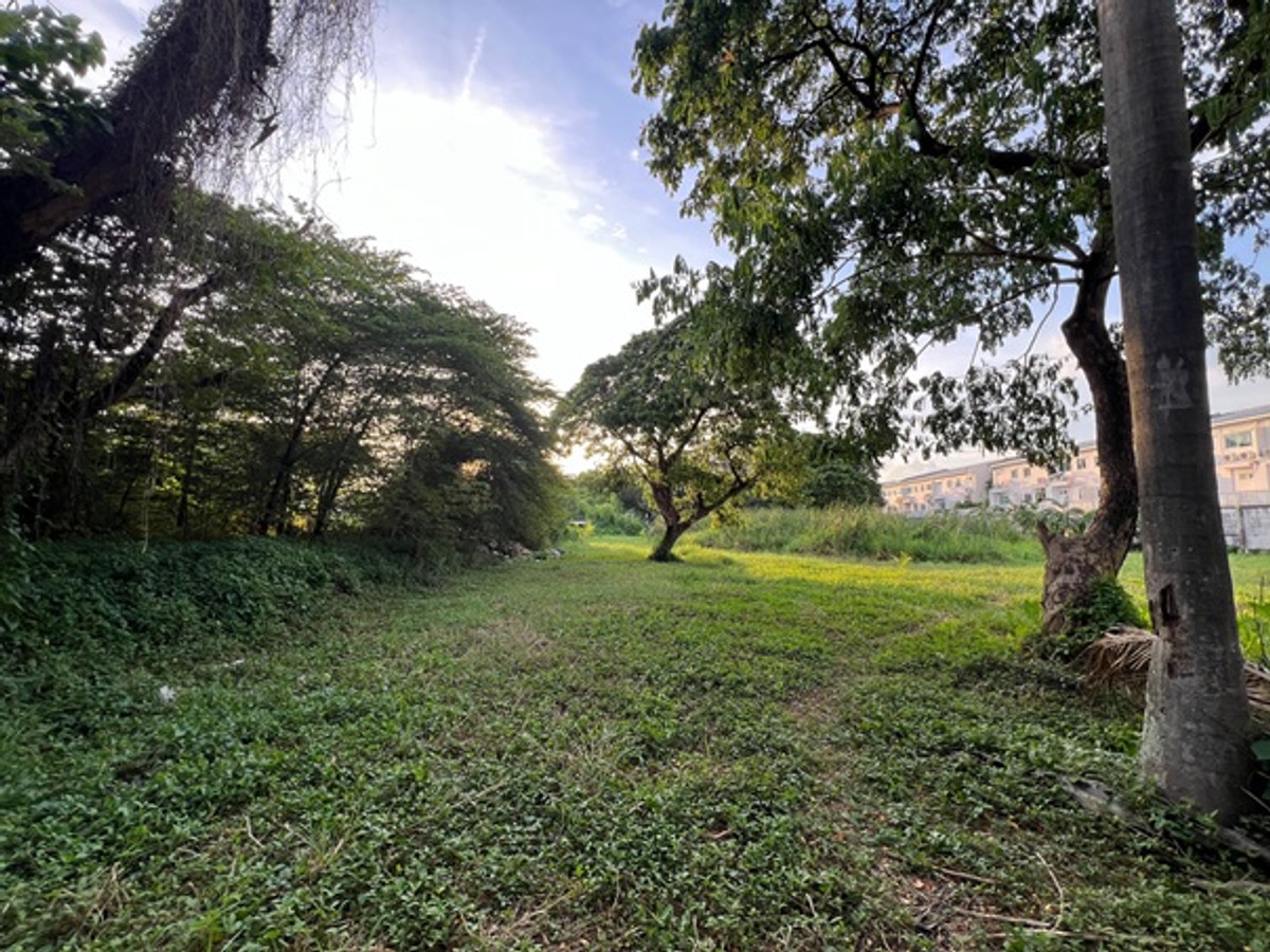 ขายที่ดินพัฒนาการ ศรีนครินทร์ : ขายด่วน ที่ดินแปลงสวย คู่ขนานมอเตอร์เวย์ กรุงเทพกรีฑา