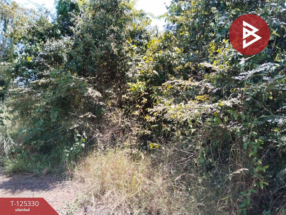 Land for sale, area 2 ngan 60 sq m, Kabin Buri, Prachin Buri Loading...