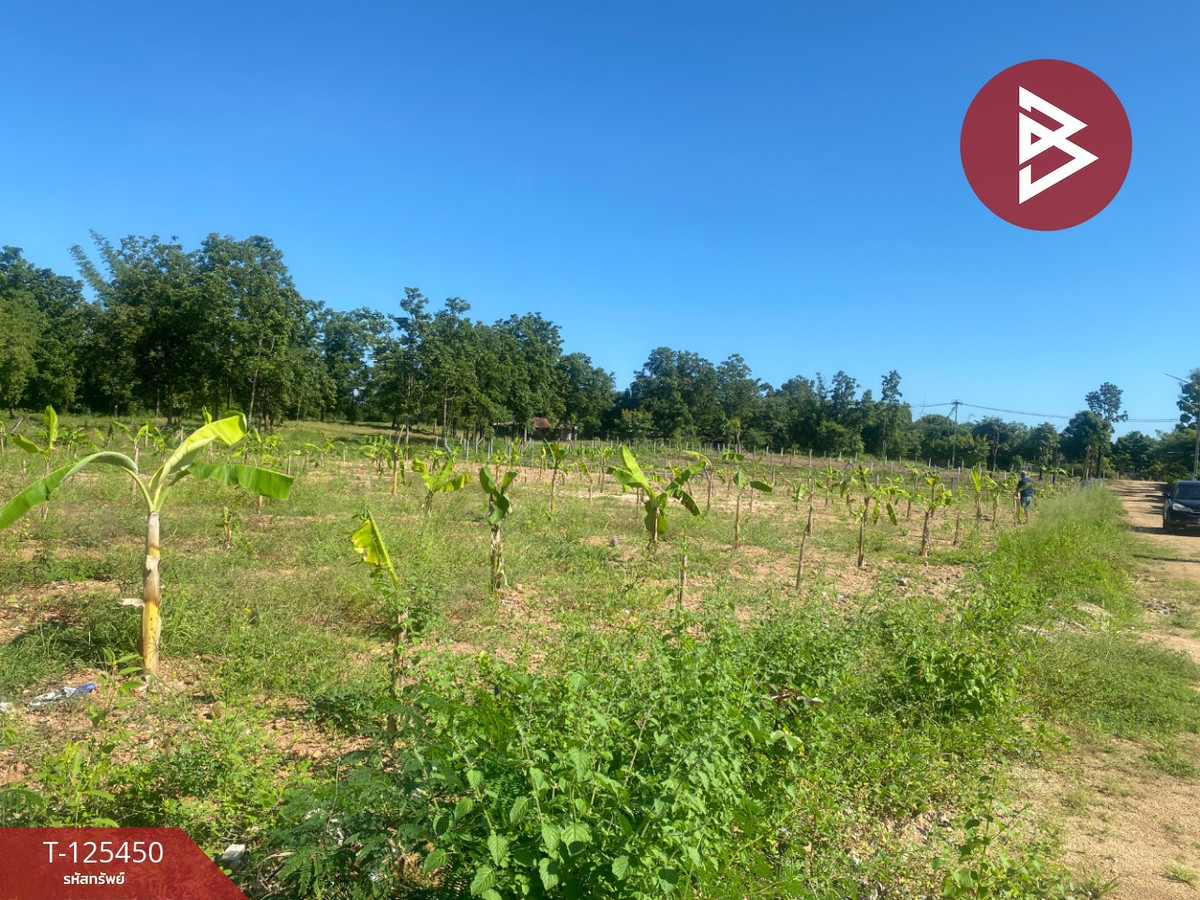 ขายที่ดิน เนื้อที่ 1 ไร่ 1 งาน 66.3 ตารางวา ต.ไม้งาม ตาก แบ่งขายเป็นแปลง Loading...