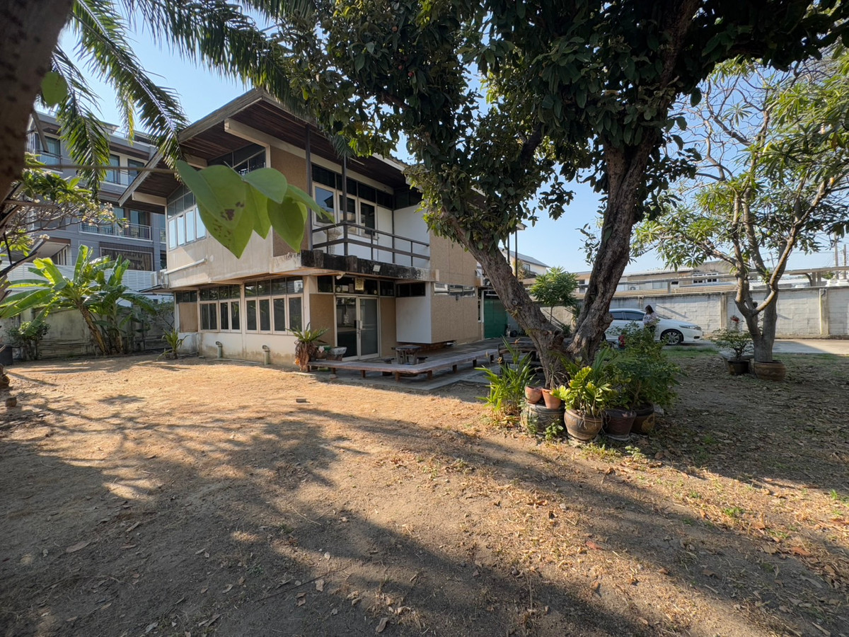 ให้เช่าบ้านอ่อนนุช อุดมสุข : ให้เช่าบ้านเดี่ยว 2 ชั้น พร้อมที่ดิน ซอยสุขุมวิท 97/1 ถนนสุขุมวิท (N.1543)