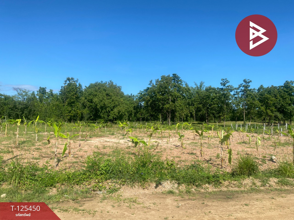 ขายที่ดิน เนื้อที่ 1 ไร่ 1 งาน 66.3 ตารางวา ต.ไม้งาม ตาก แบ่งขายเป็นแปลง Loading...