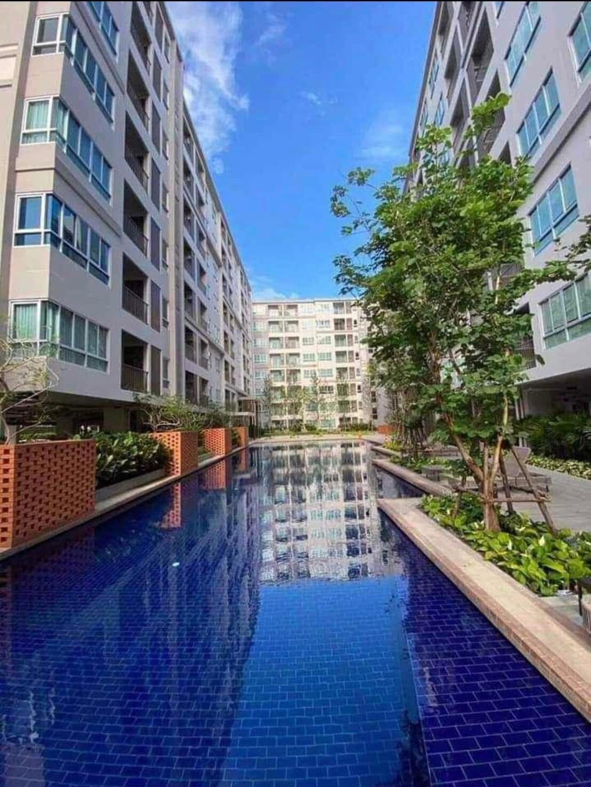 ✨ For Sale: D Condo Rin Chiang Mai ✨ Beautiful and modern condo near Central Festival Chiang Mai — fully  Loading...