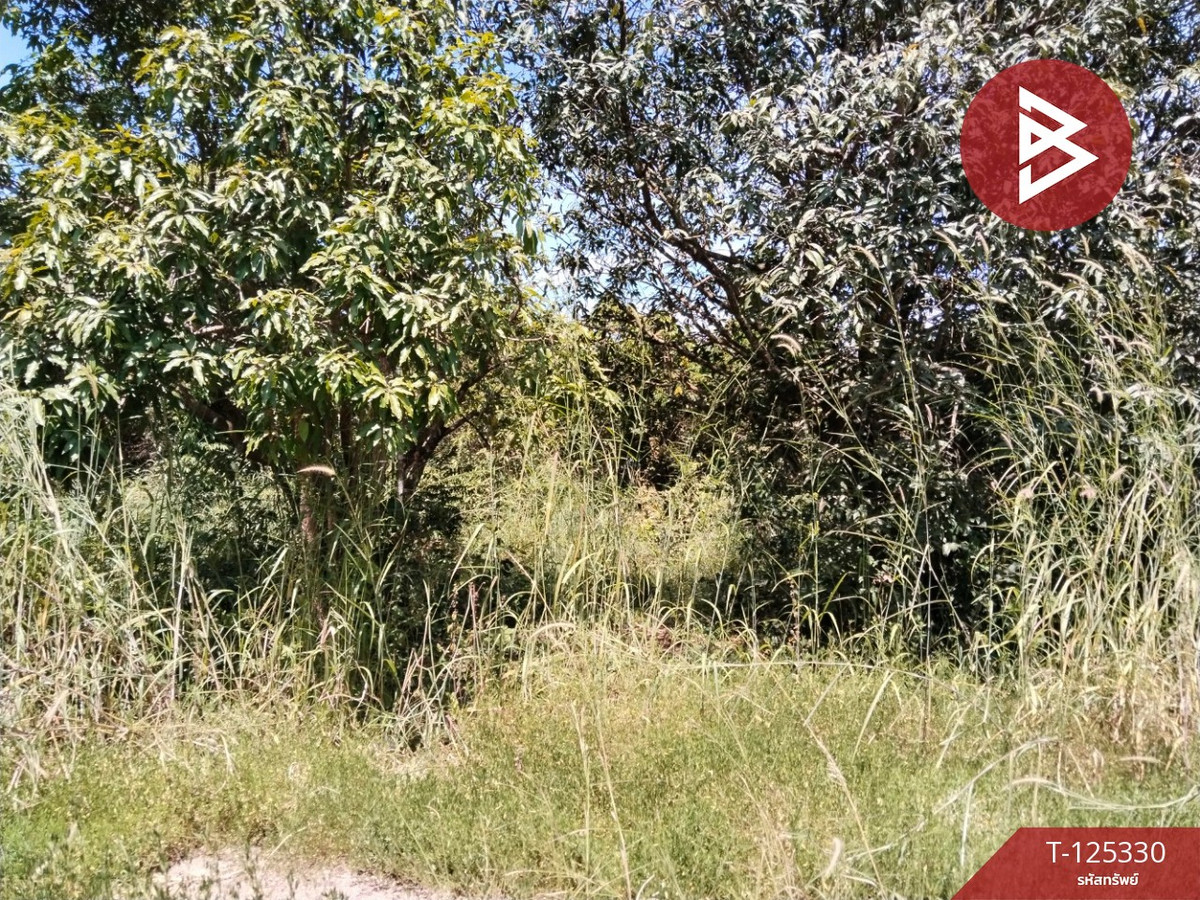 ขายที่ดินปราจีนบุรี : ขายที่ดิน เนื้อที่ 2 งาน 60 ตร.วา กบินทร์บุรี ปราจีนบุรี