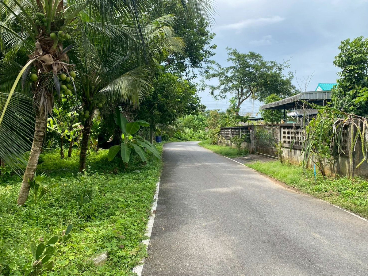 ขายที่ดินตรัง : ขายที่ดินใกล้วัดโคกหล่อ จ.ตรัง ทำเลดีใจกลางเมือง ใกล้โลตัสตรัง