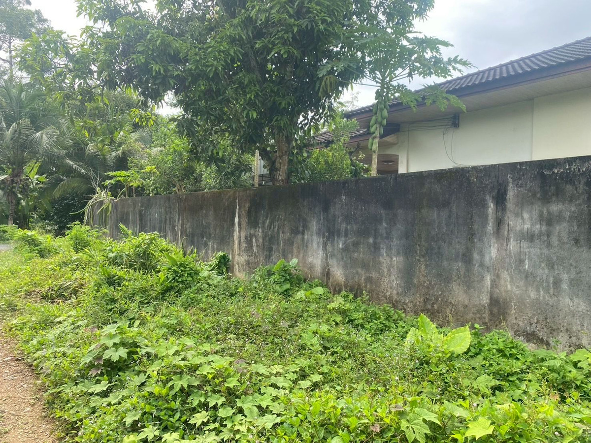 ขายที่ดินตรัง : ขายที่ดินใกล้วัดโคกหล่อ จ.ตรัง ทำเลดีใจกลางเมือง ใกล้โลตัสตรัง