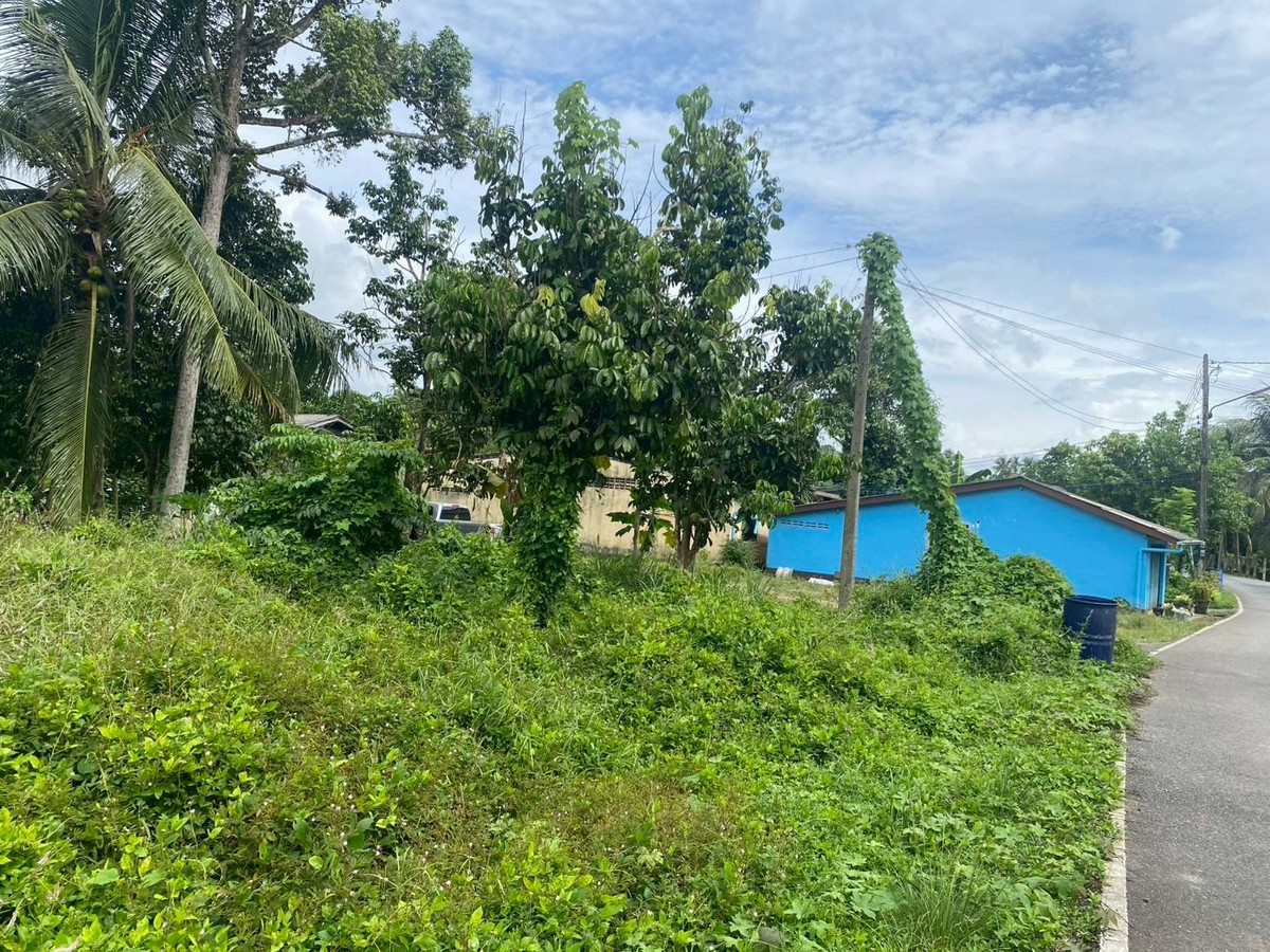 ขายที่ดินตรัง : ขายที่ดินใกล้วัดโคกหล่อ จ.ตรัง ทำเลดีใจกลางเมือง ใกล้โลตัสตรัง