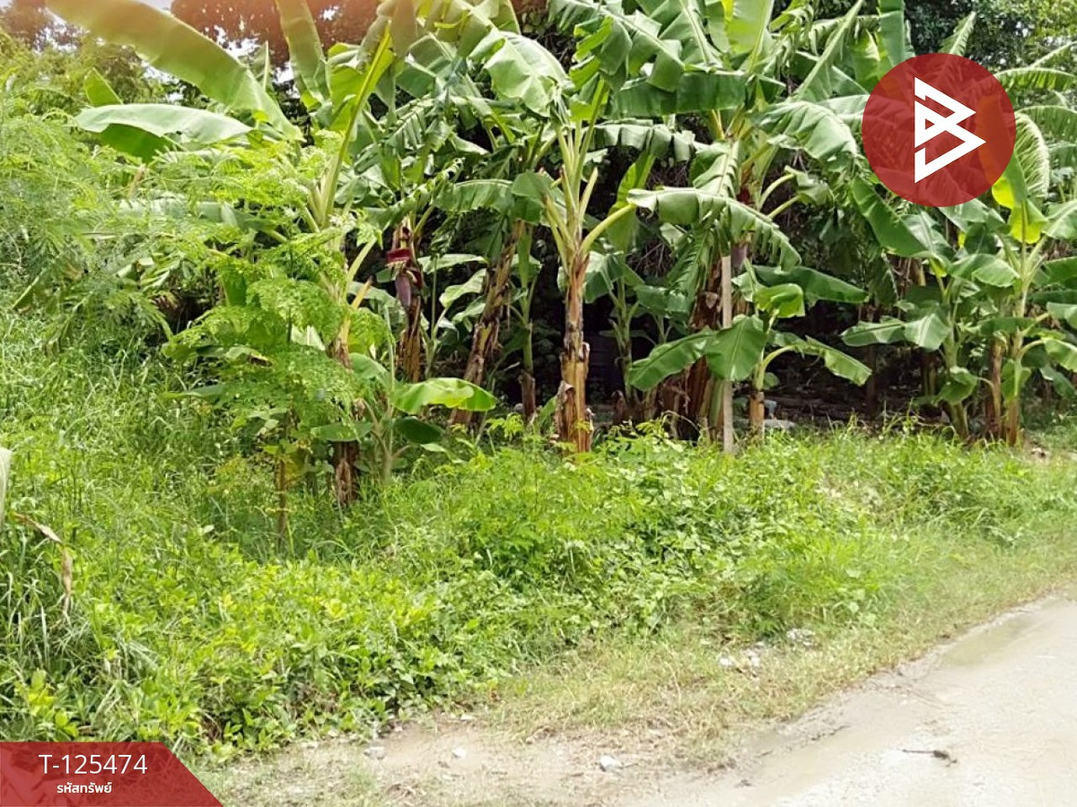 ขายที่ดิน เนื้อที่ 2 ไร่ บางปลา สมุทรปราการ ทำเลดี เหมาะสร้างโรงงาน หรือบ้านพักคนงาน Loading...