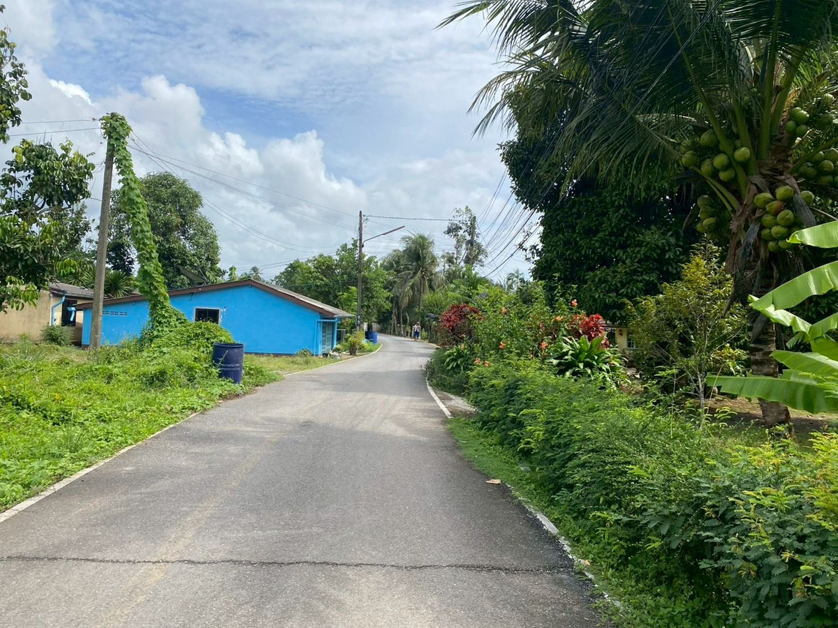 ขายที่ดินตรัง : ขายที่ดินใกล้วัดโคกหล่อ จ.ตรัง ทำเลดีใจกลางเมือง ใกล้โลตัสตรัง