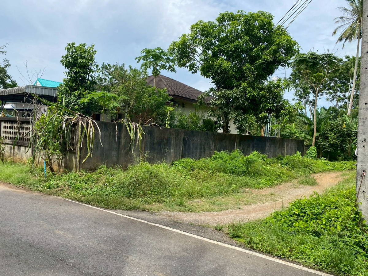 ขายที่ดินตรัง : ขายที่ดินใกล้วัดโคกหล่อ จ.ตรัง ทำเลดีใจกลางเมือง ใกล้โลตัสตรัง