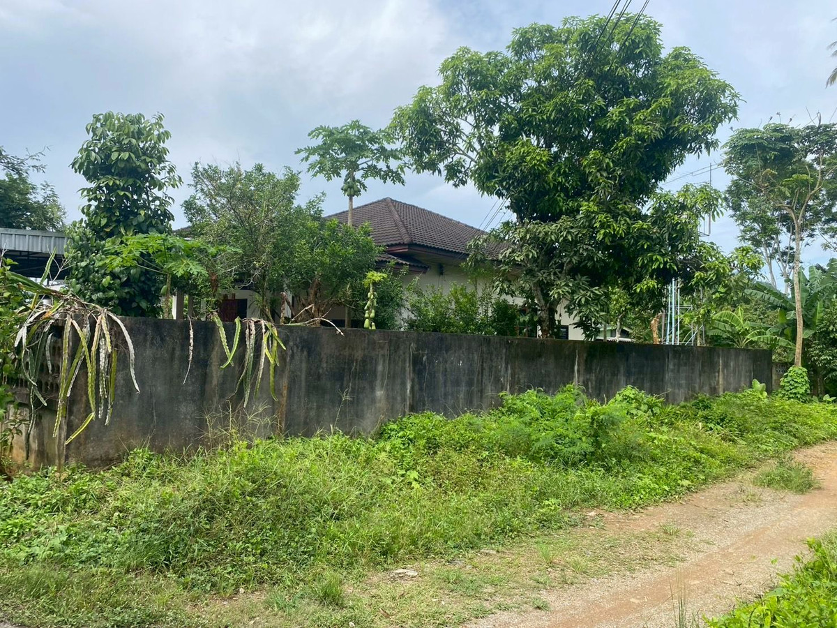 ขายที่ดินตรัง : ขายที่ดินใกล้วัดโคกหล่อ จ.ตรัง ทำเลดีใจกลางเมือง ใกล้โลตัสตรัง