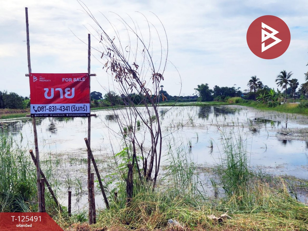 For SaleLandNonthaburi, Bang Yai, Bangbuathong : 2 plots of land for sale, area 13 rai 1 ngan 38 square wah, Sai Noi, Nonthaburi