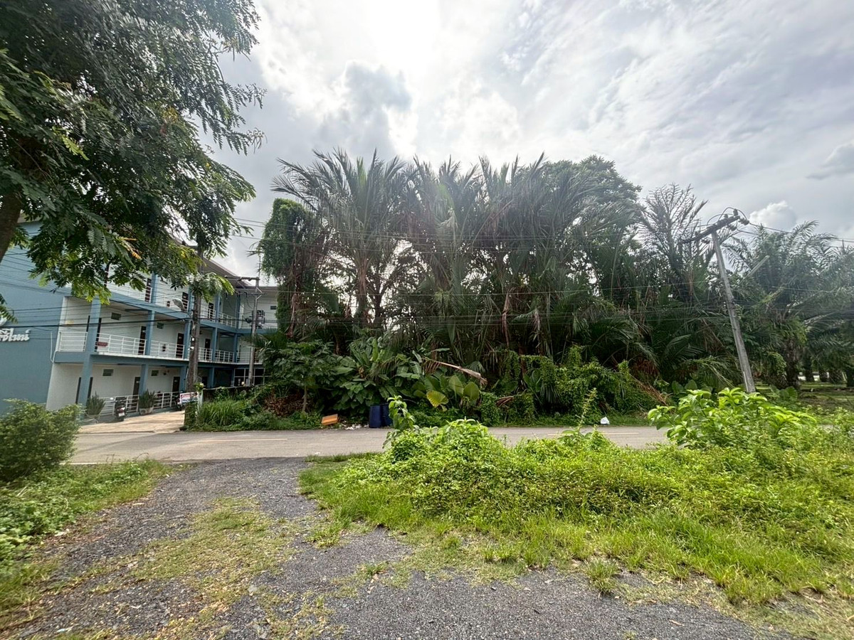 ขายที่ดินตรัง : ขายที่ดินใกล้วัดโคกหล่อ จ.ตรัง ทำเลดีใจกลางเมือง ใกล้โลตัสตรัง