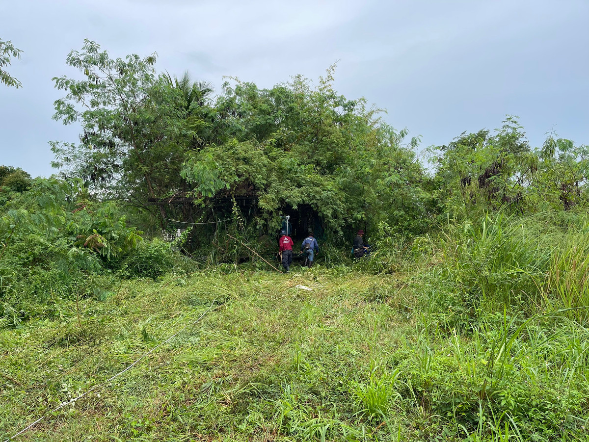 For SaleLandSa Kaeo : Land for sale, Tha Kwian Subdistrict, Watthana Nakhon District, Sa Kaeo Province.