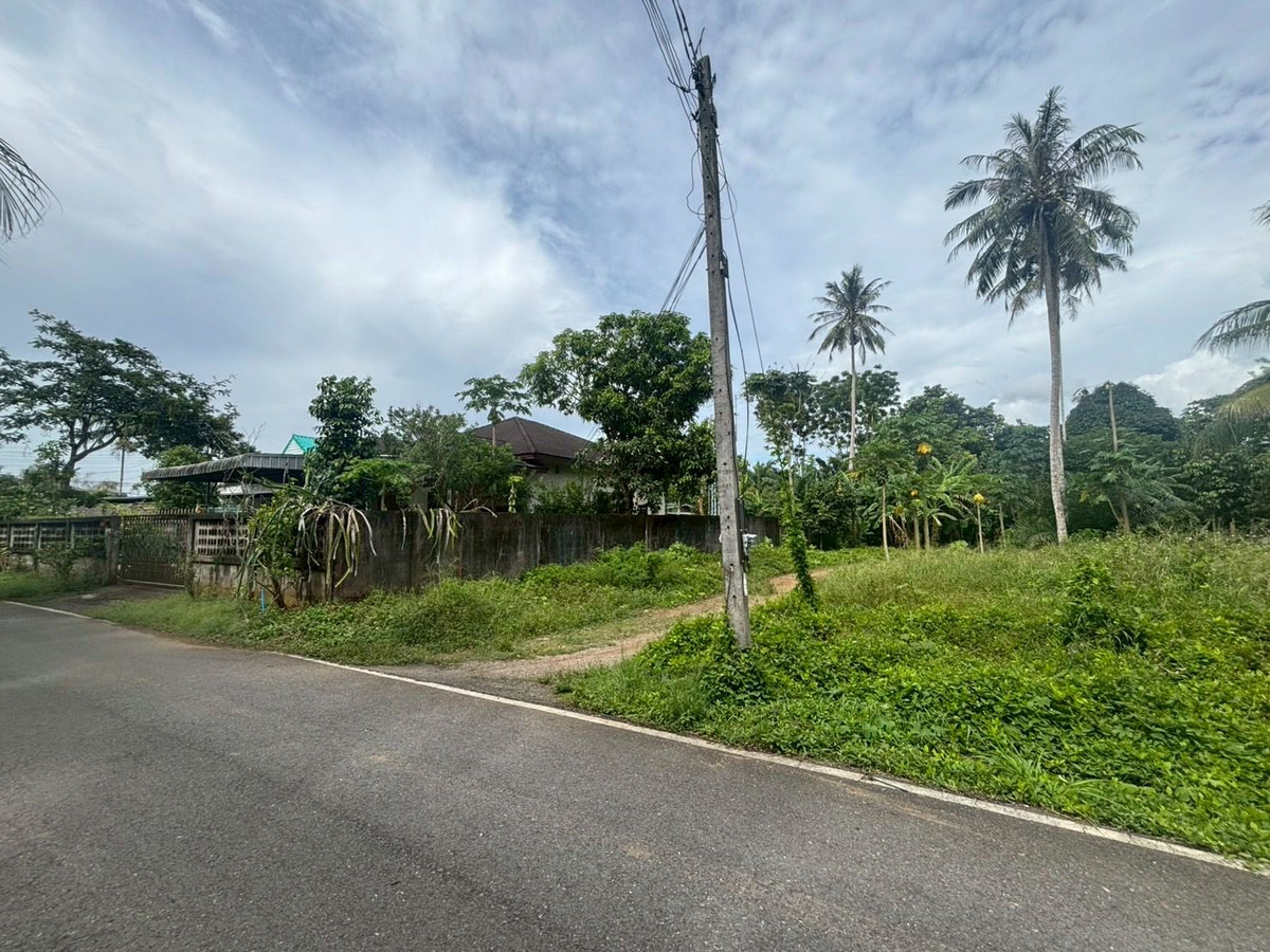 ขายที่ดินตรัง : ขายที่ดินใกล้วัดโคกหล่อ จ.ตรัง ทำเลดีใจกลางเมือง ใกล้โลตัสตรัง