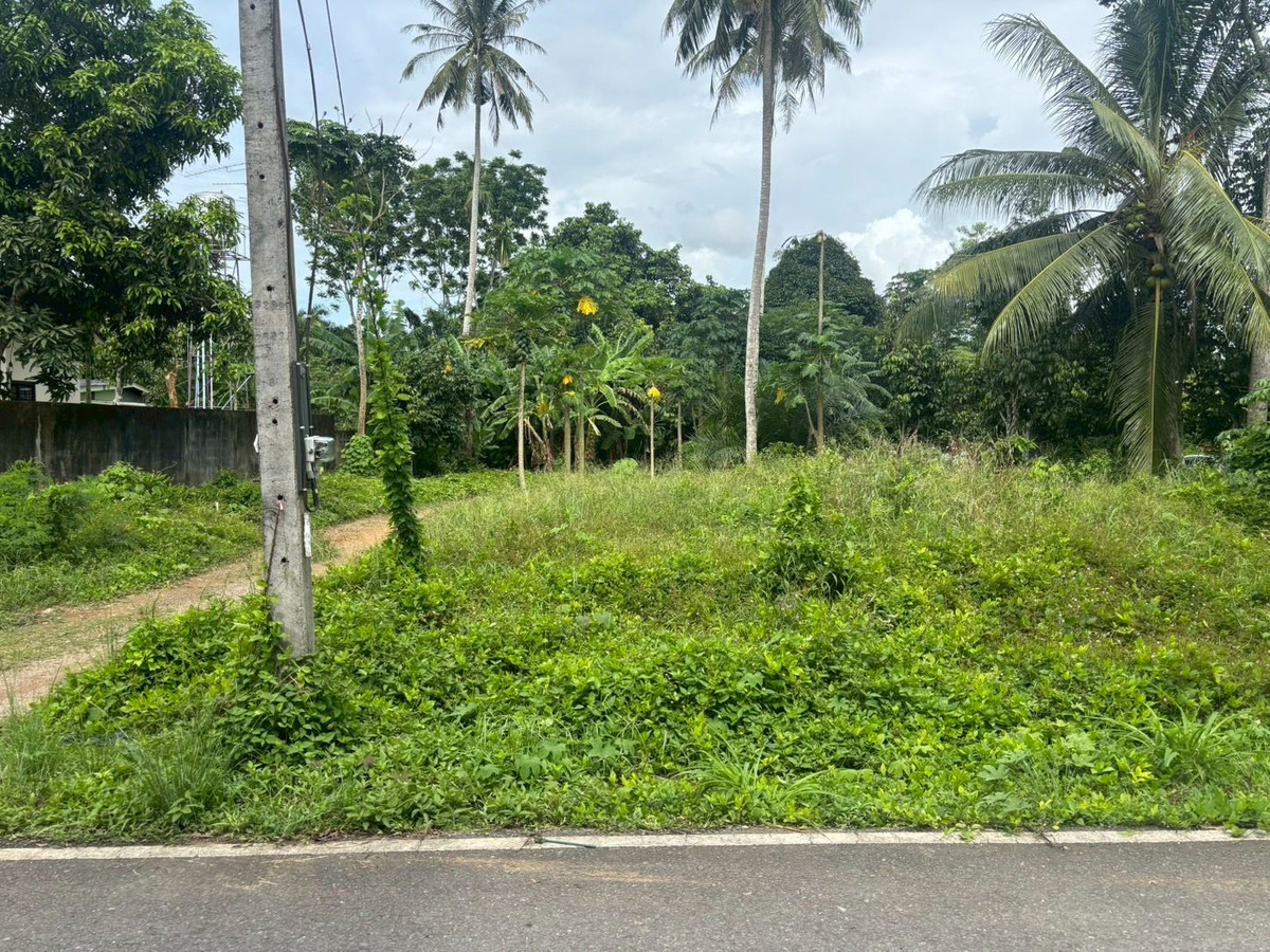 ขายที่ดินตรัง : ขายที่ดินใกล้วัดโคกหล่อ จ.ตรัง ทำเลดีใจกลางเมือง ใกล้โลตัสตรัง