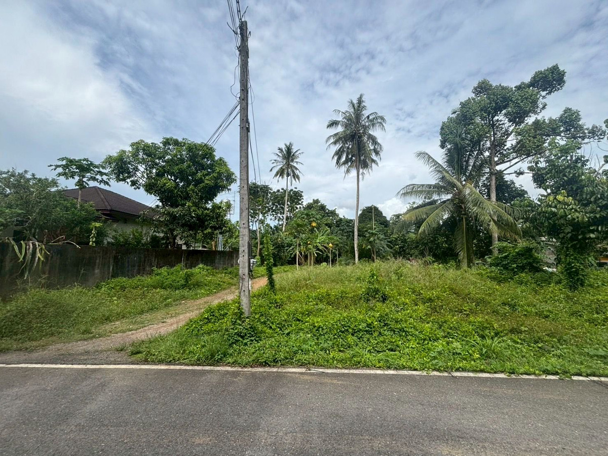 ขายที่ดินตรัง : ขายที่ดินใกล้วัดโคกหล่อ จ.ตรัง ทำเลดีใจกลางเมือง ใกล้โลตัสตรัง