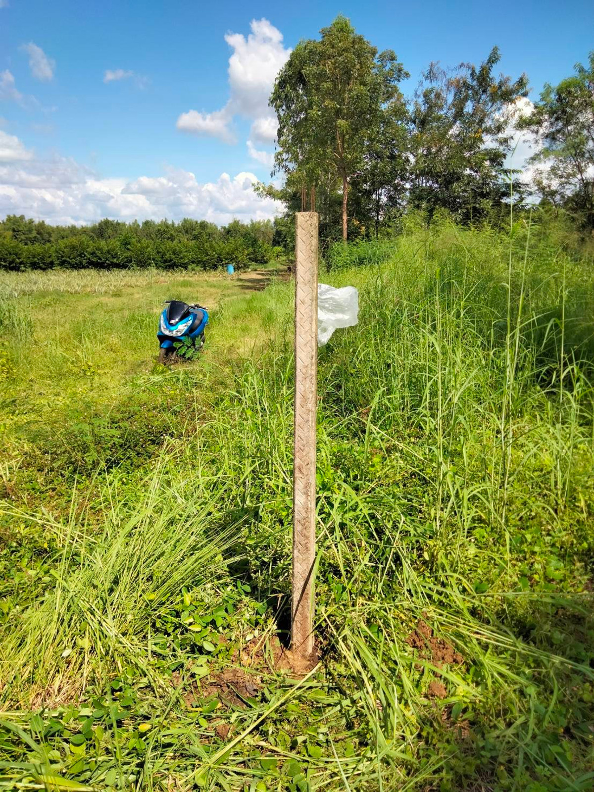 For SaleLandSa Kaeo : Land for sale, Tha Kwian Subdistrict, Watthana Nakhon District, Sa Kaeo Province.