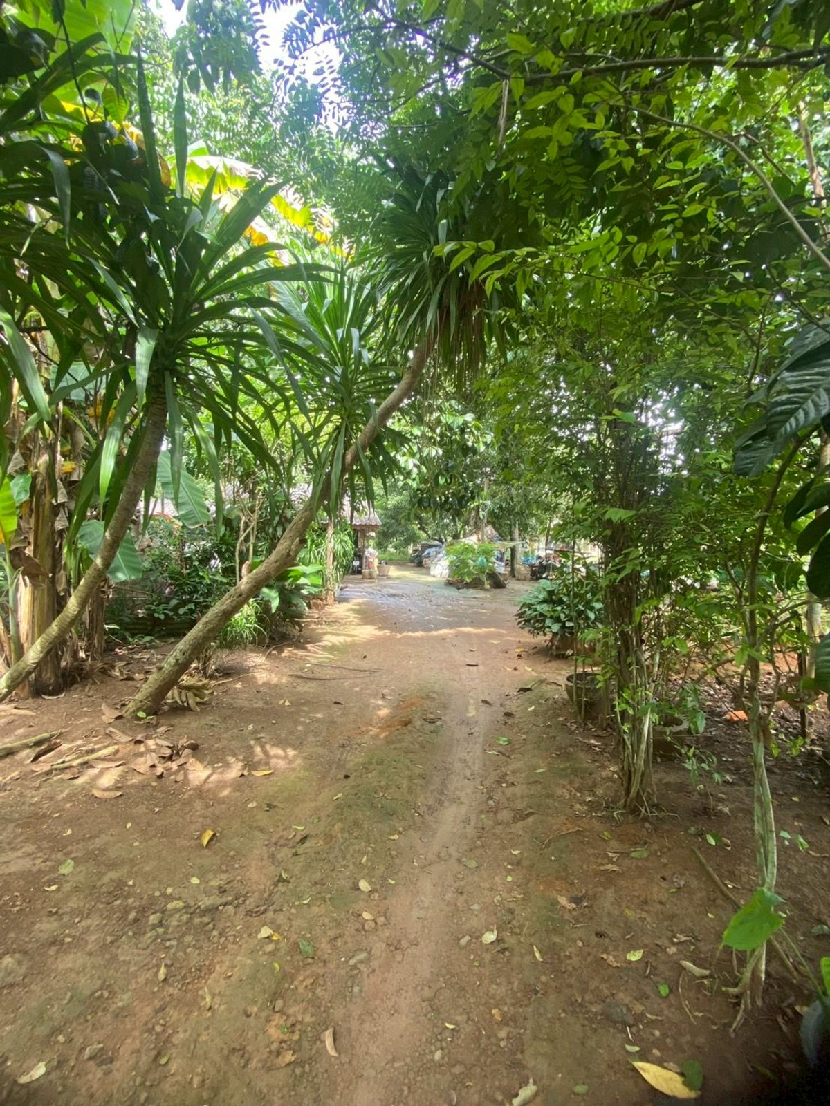 ขายที่ดินตรัง : ขายที่ดินใกล้วัดโคกหล่อ จ.ตรัง ทำเลดีใจกลางเมือง ใกล้โลตัสตรัง