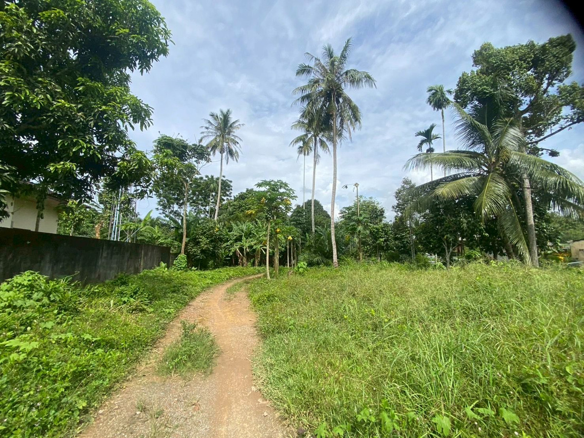 ขายที่ดินตรัง : ขายที่ดินใกล้วัดโคกหล่อ จ.ตรัง ทำเลดีใจกลางเมือง ใกล้โลตัสตรัง