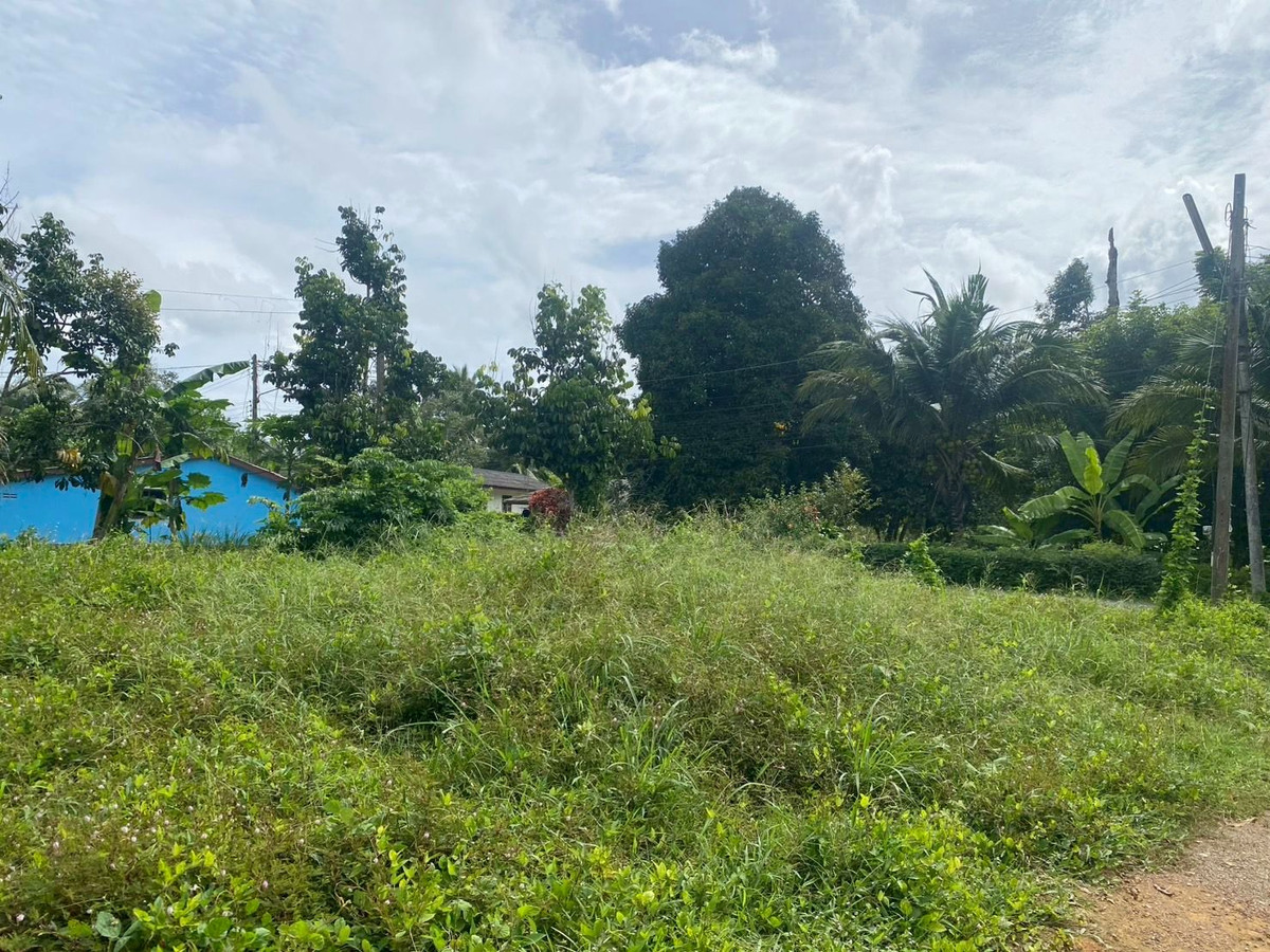 ขายที่ดินตรัง : ขายที่ดินใกล้วัดโคกหล่อ จ.ตรัง ทำเลดีใจกลางเมือง ใกล้โลตัสตรัง