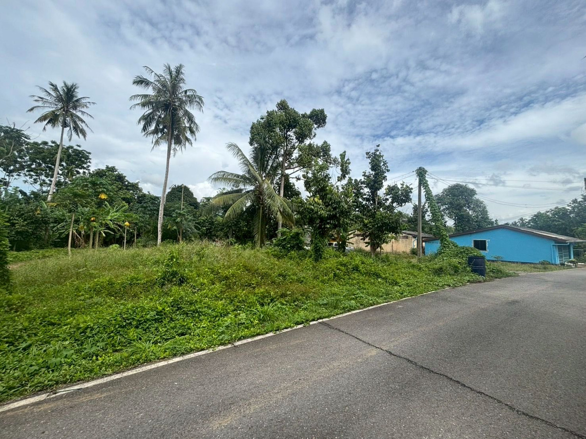 ขายที่ดินตรัง : ขายที่ดินใกล้วัดโคกหล่อ จ.ตรัง ทำเลดีใจกลางเมือง ใกล้โลตัสตรัง