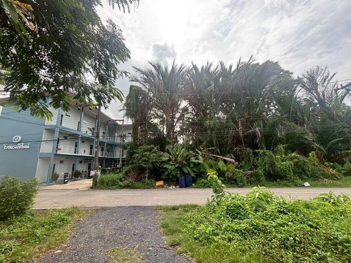 ขายที่ดินตรัง : ขายที่ดินใกล้วัดโคกหล่อ จ.ตรัง ทำเลดีใจกลางเมือง ใกล้โลตัสตรัง