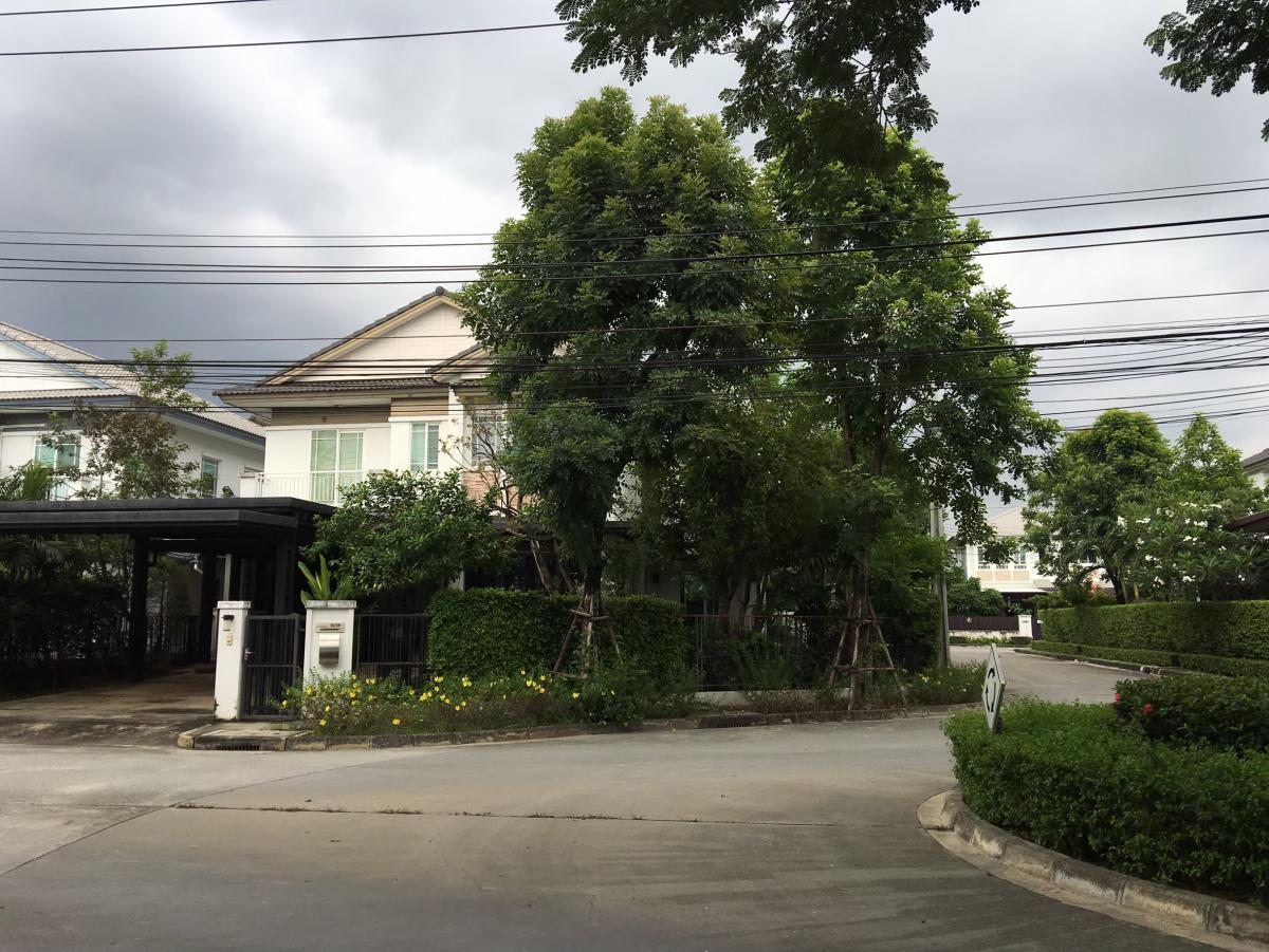 ขายบ้านพัฒนาการ ศรีนครินทร์ : 28/02/2026, บ้านเดี่ยว 3 ห้องนอน 250 ตรม. ใจกลางโซนรามคำแหง 
เช่าหรือซื้อวันนี้ พร้อมพื้นที่ดินกว้าง 91.5 ตร.ว.