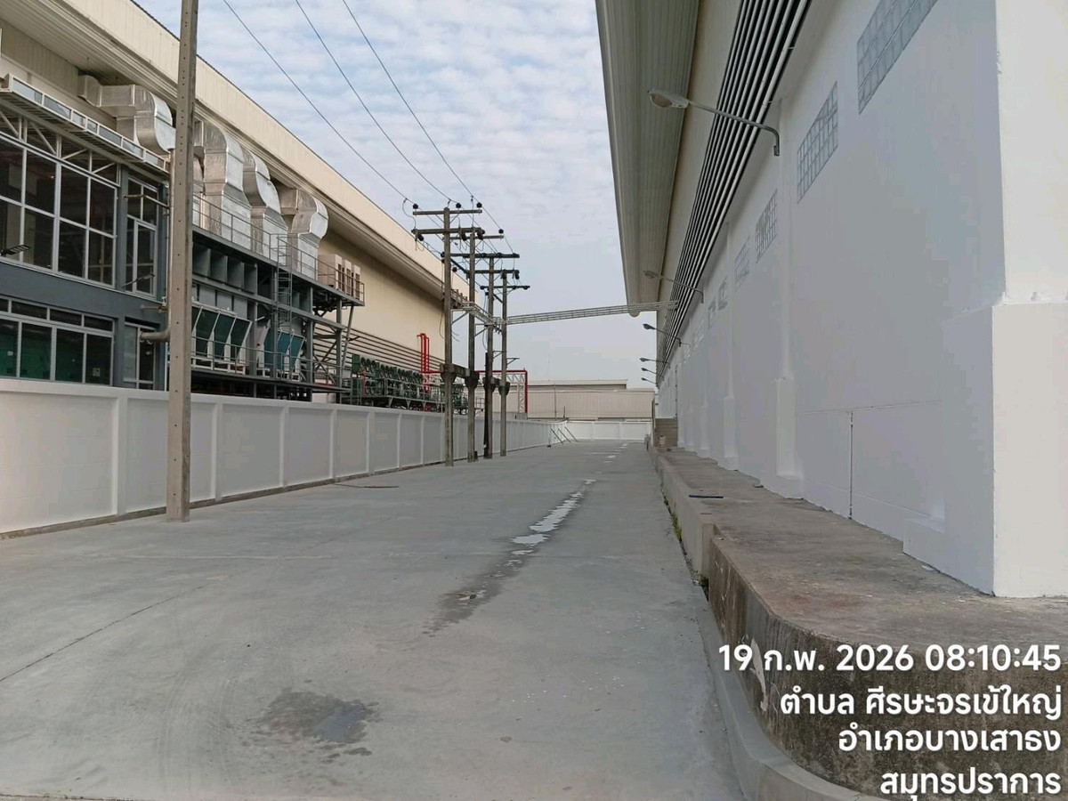 For RentFactoryBangna, Bearing, Lasalle : Warehouse / factory for rent – ​​purple area, Bangna-Trad km.23 outbound, 6 rai 371.5 sq m.