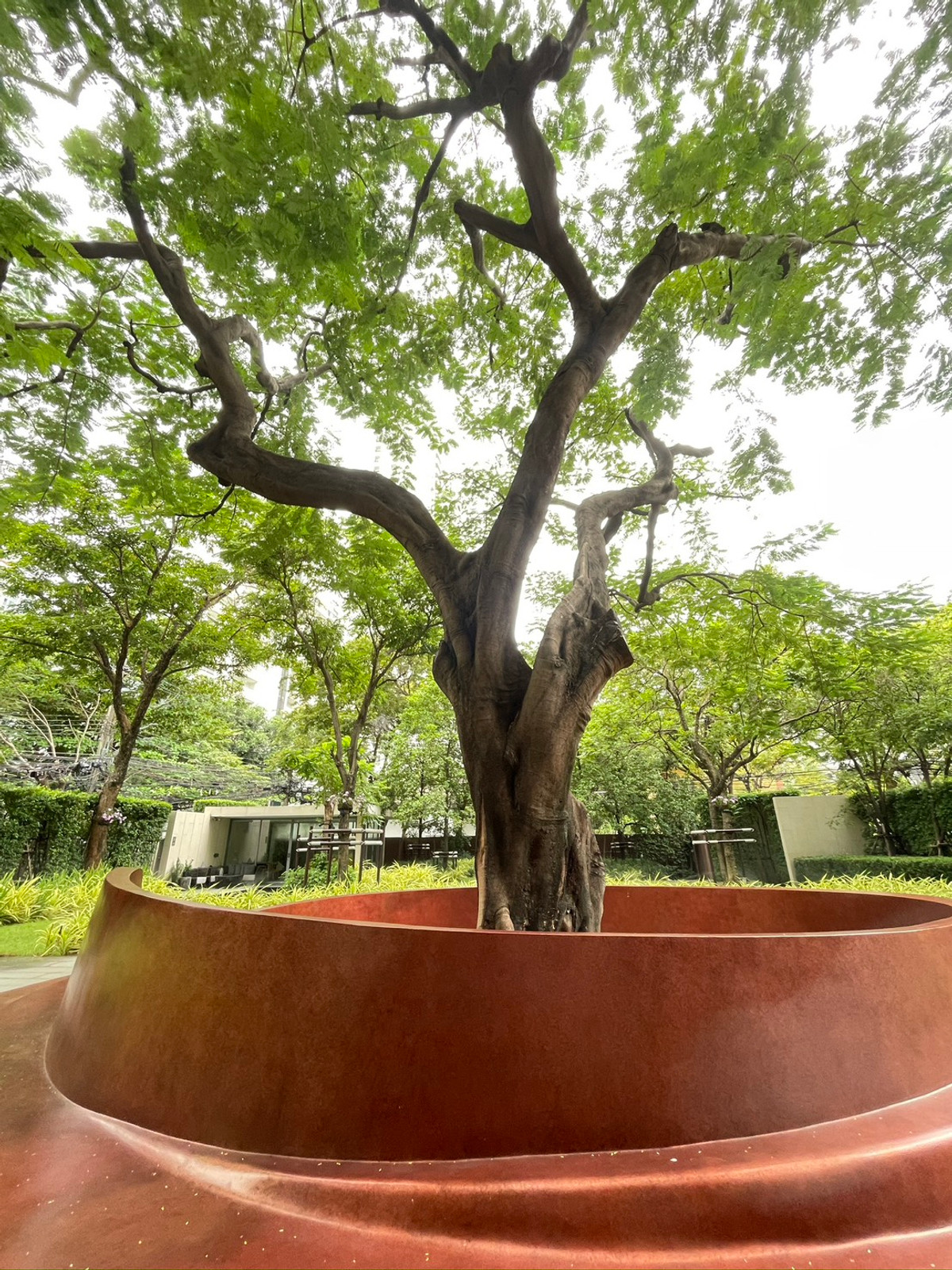 ให้เช่าคอนโดสุขุมวิท อโศก ทองหล่อ : 🌟READY TO MOVE 3 Bed 3Baths HIGH Floor at Kraam Sukhumvit 26 🌟