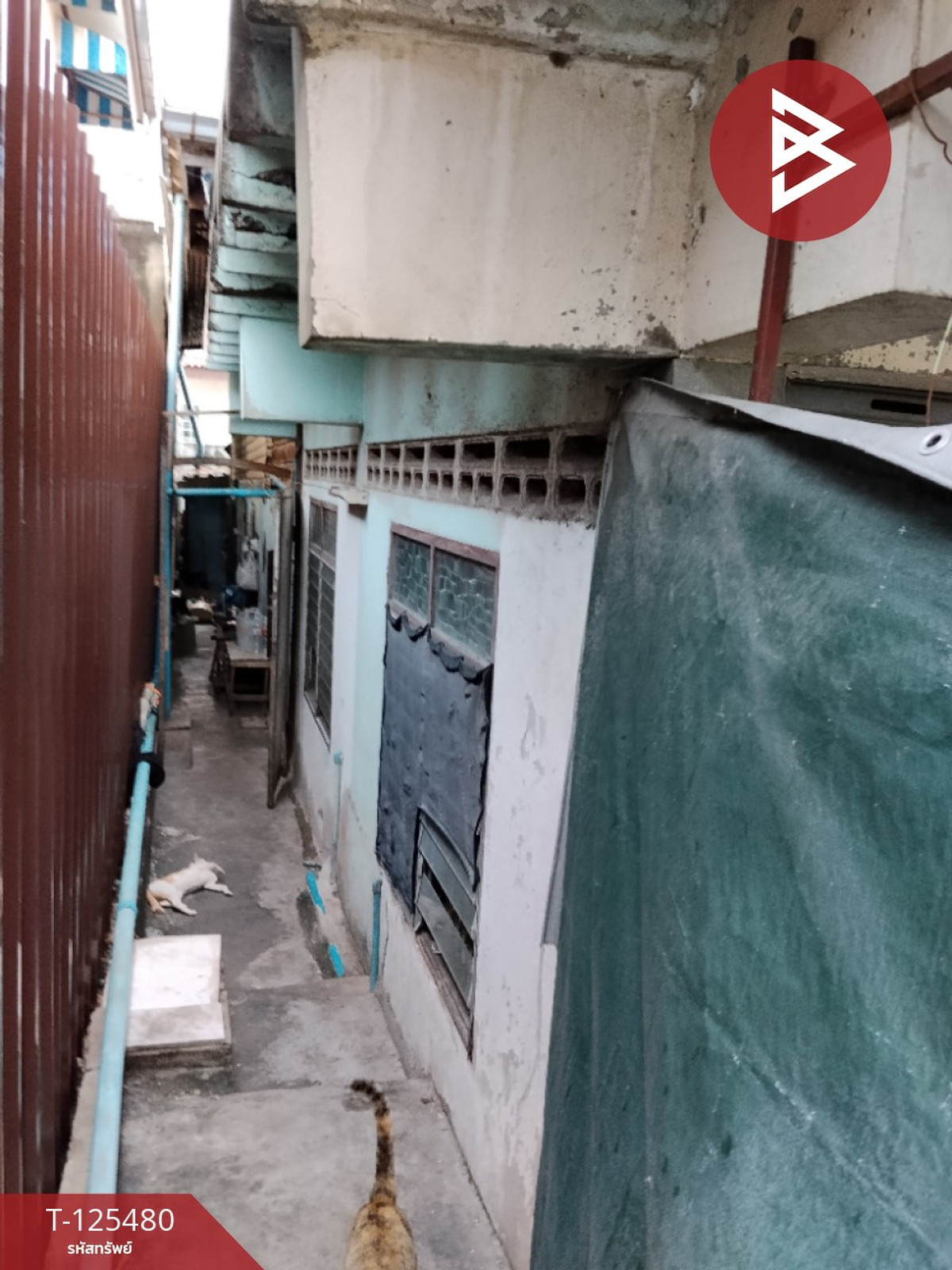 ขายที่ดินพร้อมสิ่งปลูกสร้าง เนื้อที่ 46 ตร.วา บางพลี สมุทรปราการ Loading...