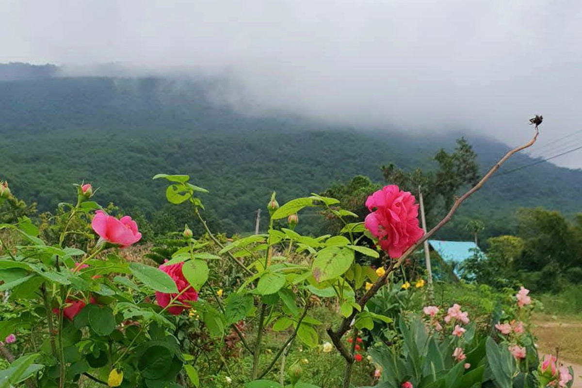 ขายบ้านโคราช นครราชสีมา : 92979 - ขายที่ดิน ภบท. 5 พร้อมบ้านพักตากอากาศ ใกล้เขาใหญ่ อากาศดี วิวภูเขาล้อมรอบ