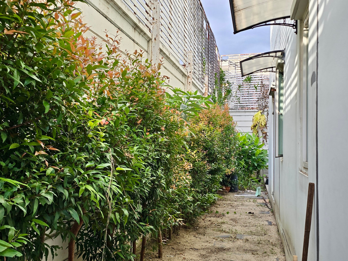 ขายทาวน์โฮมลาดพร้าว101 แฮปปี้แลนด์ : 🌟 “ทาวน์โฮม 3 ชั้นใจกลางลาดพร้าว | บ้านกลางเมือง ลาดพร้าว 87” สไตล์โมเดิร์น เรียบหรู อยู่สบาย ใกล้ทุกจุดหมายในเมืองใหญ่