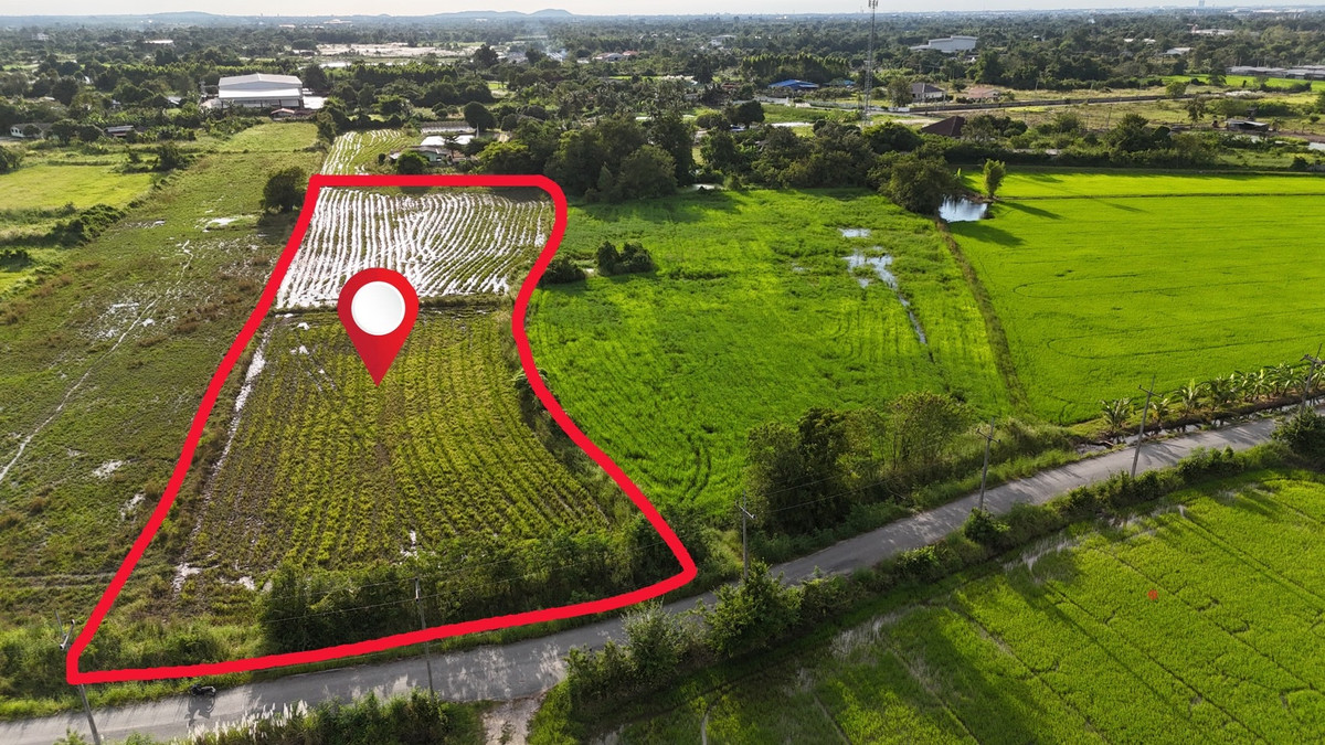 ขายที่ดินพัทยา บางแสน ชลบุรี สัตหีบ : ขายที่ดินเปล่า ผังสีม่วงเข้ม พื้นที่อุตสาหกรรม อำเภอพนัสนิคม จังหวัดชลบุรี